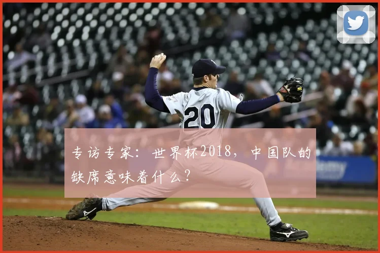 专访专家:世界杯2018,中国队的缺席意味着什么?