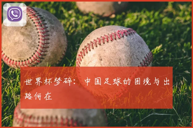 世界杯梦碎：中国足球的困境与出路何在