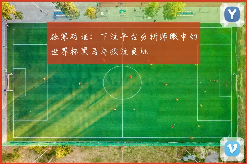 独家对话：下注平台分析师眼中的世界杯黑马与投注良机
